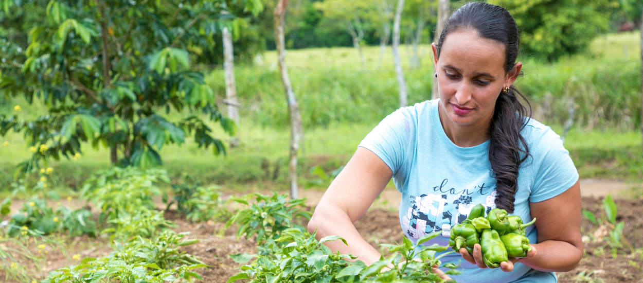 La labor de la mujer rural como factor clave para la seguridad alimentaria